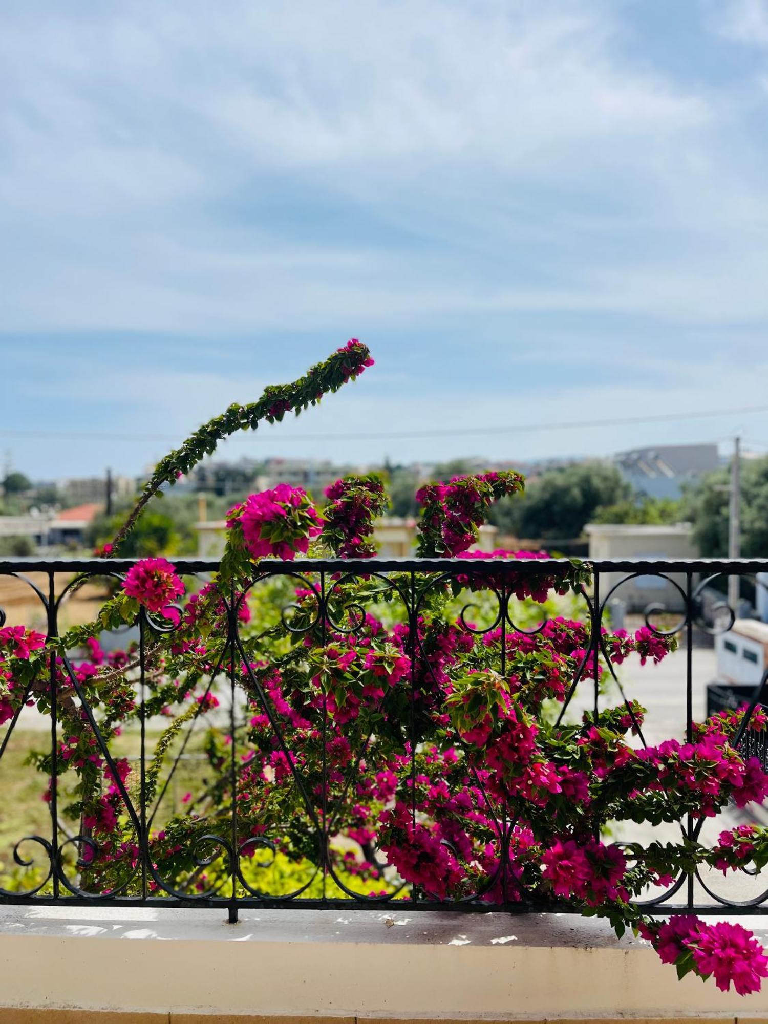 Thea Artemis Villa Kato Daratso Exterior foto
